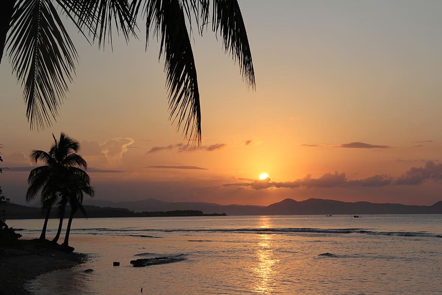 beach, sunrise, haiti, caribbean, palm tree, tropical, ocean, HD wallpaper