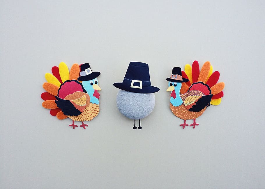 two turkey near egg artwork, thanksgiving, holiday, dinner, traditional, HD wallpaper