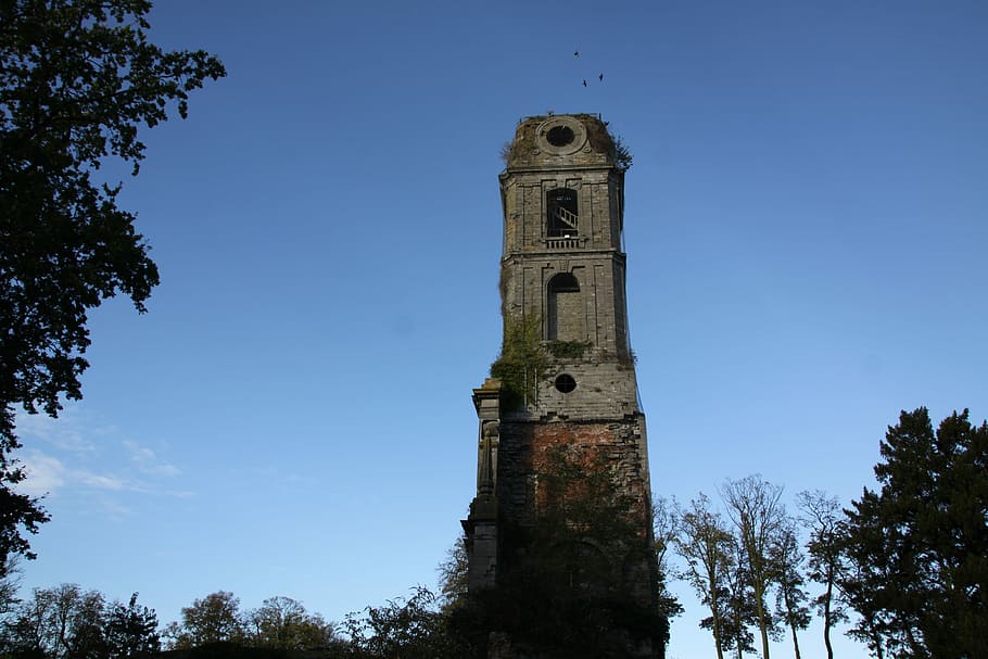 Tower, Building, Architecture, tree, history, abandoned, clock tower HD wallpaper