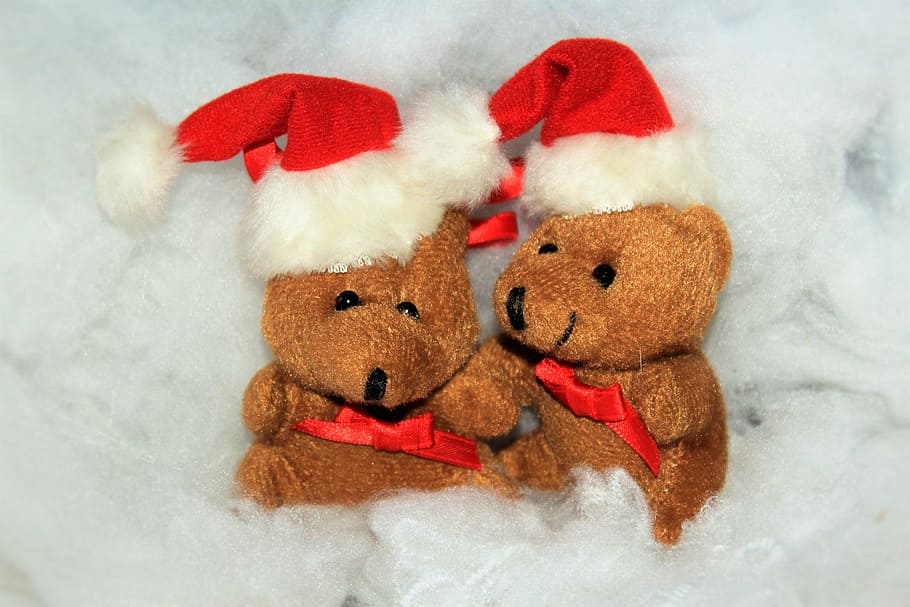 HD wallpaper: two brown bear plush toys with red hats, christmas, christmas  bear | Wallpaper Flare