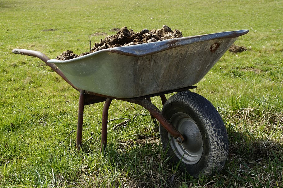 gray wheelbarrow in field, farm, crap, agriculture, work, farmyard manure, HD wallpaper