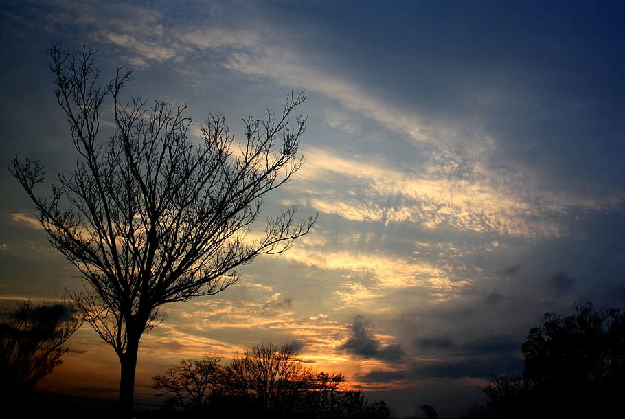 sunset, sky, tree, cloud, sunlight, evening, outdoor, travel HD wallpaper