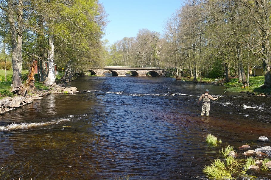 person standing in river, sweden, stream, man, fly fishing HD wallpaper