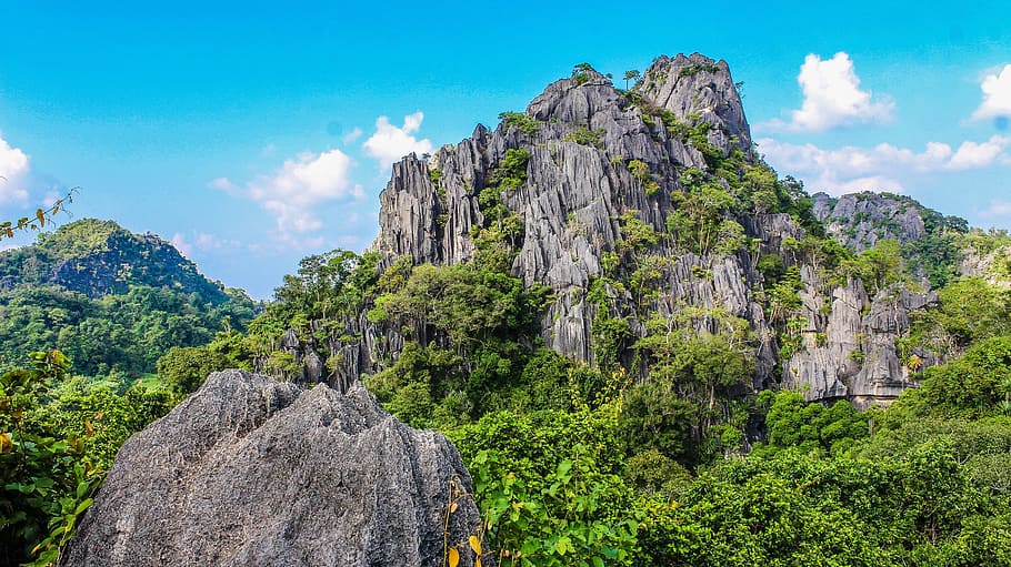 Photography of Mountain Covered With Trees, adventure, beautiful HD wallpaper