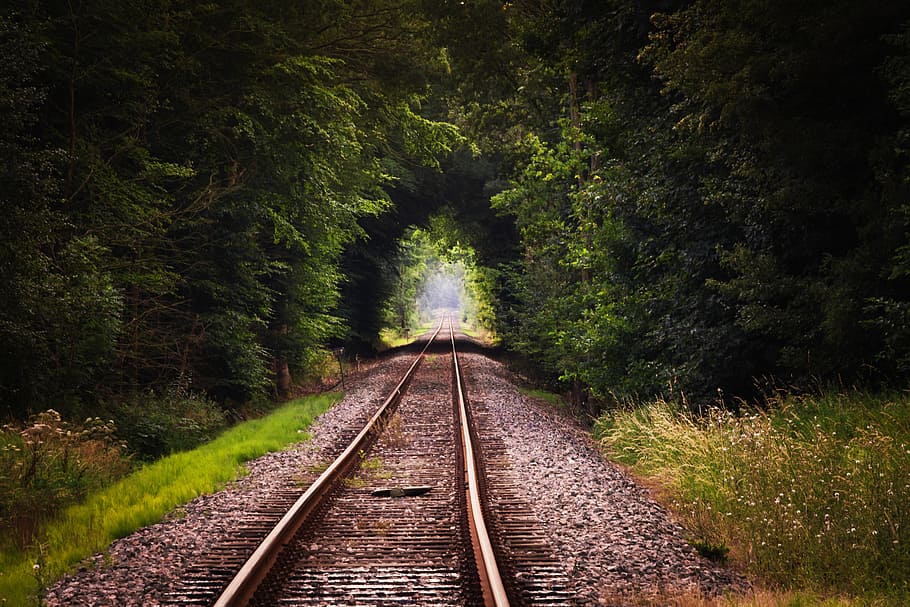 railway surrounded with green leaf plant during daytime, gleise, HD wallpaper