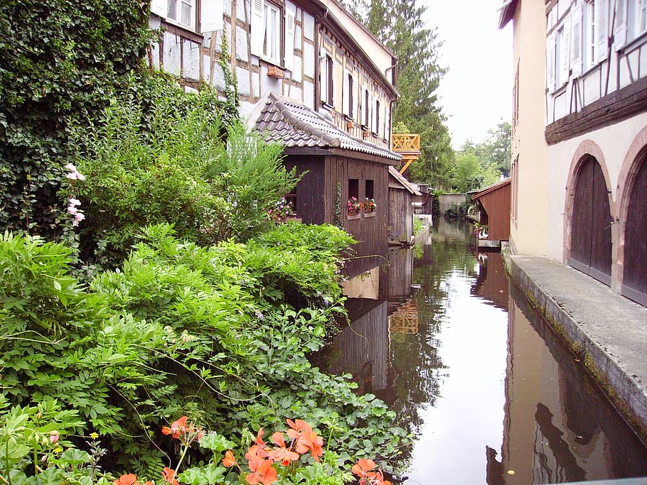 truss, river, alsace, built structure, architecture, building exterior HD wallpaper