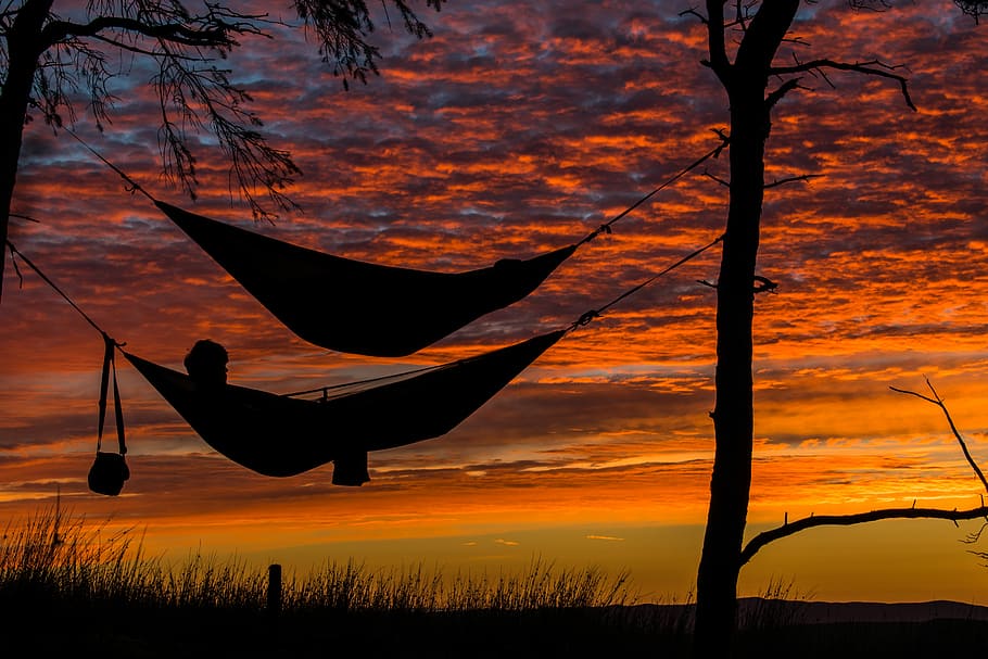 person lying on hammock, silhouette of hammock hanged on tree under orange sky HD wallpaper