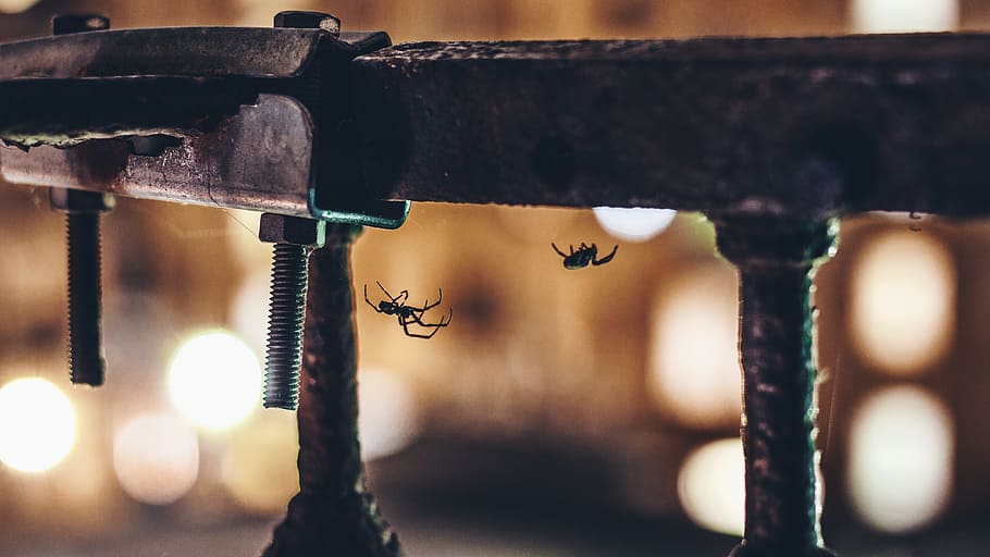 milan, spider, bokeh, night, glimpse, old houses, city, colors HD wallpaper