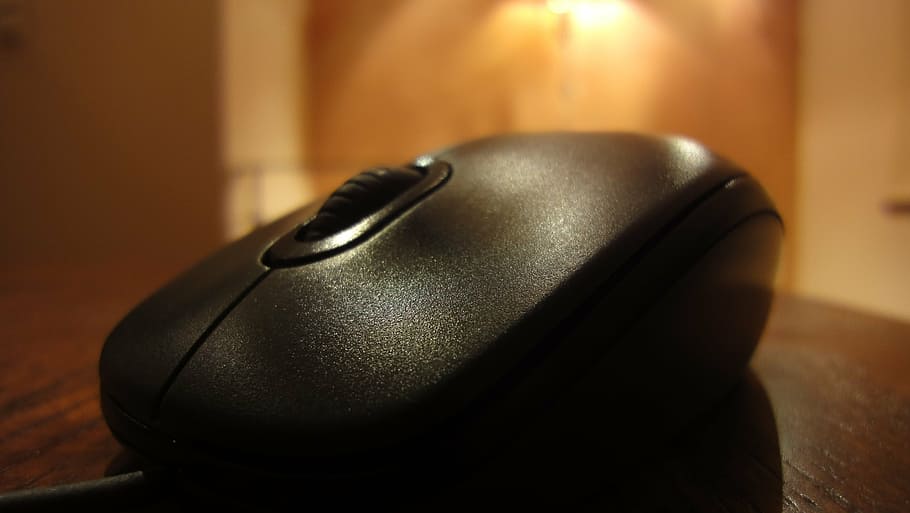 mouse, computer, technology, black, scroll, communication, business HD wallpaper