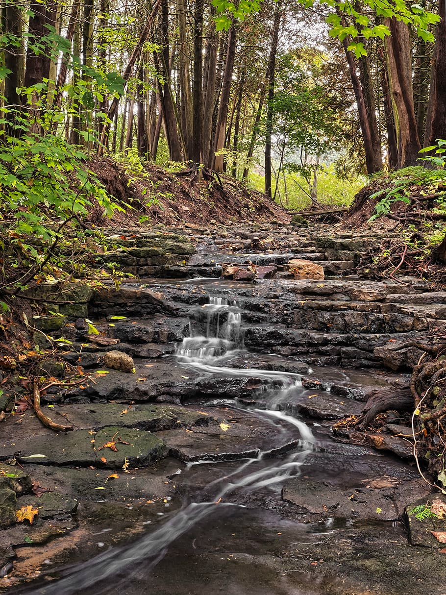 landscape, outdoors, stream, trees, water, forest, nature, woodland HD wallpaper
