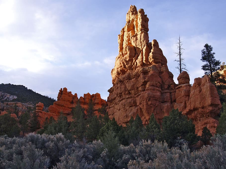 Zion National Park, Utah, Usa, Rocks, red, erosion, landscape, HD wallpaper