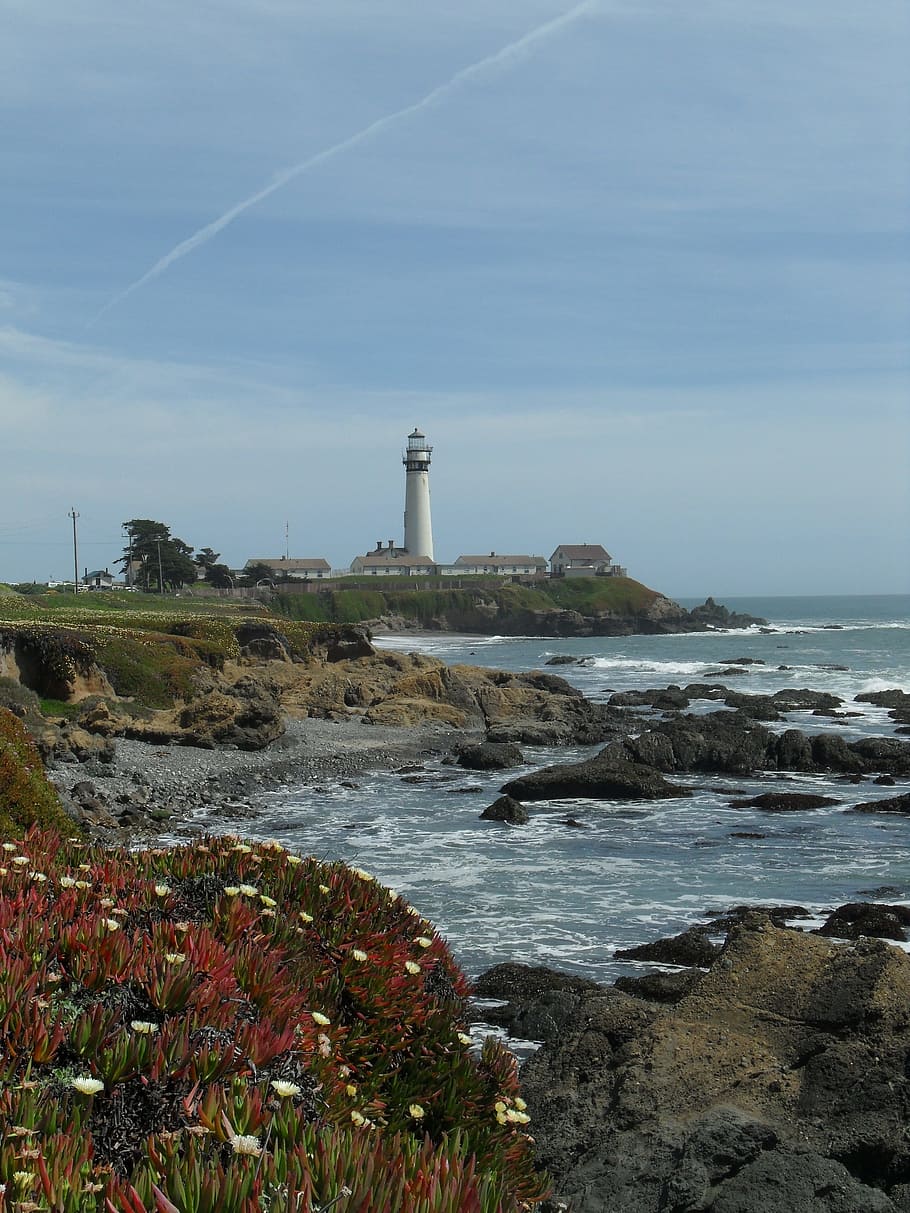Pigeon Point Lighthouse, Highway 1, coast, flowers, pacific, sea