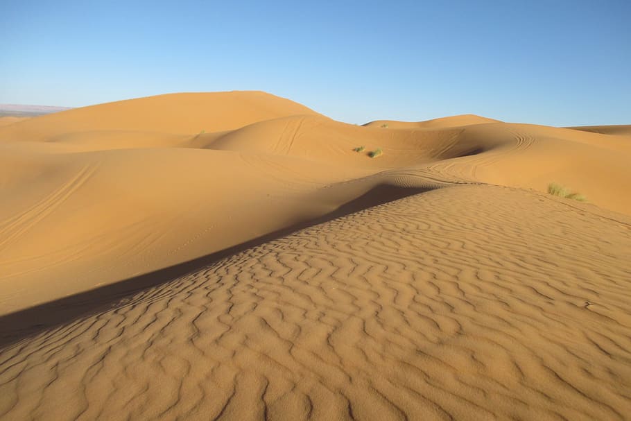 desert wallpaper, sand, structure, sahara, morocco, sand dune HD wallpaper