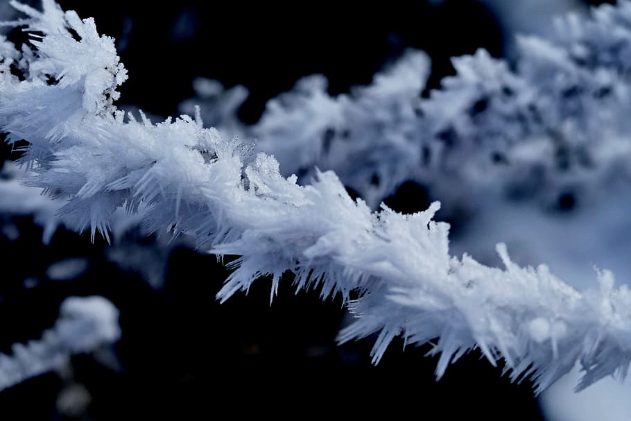 frost, winter, icing, nature, texture, frozen, cold temperature HD wallpaper