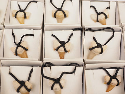 brown fang pendants, Shark Teeth, Trailers, Jewellery, Tooth HD wallpaper