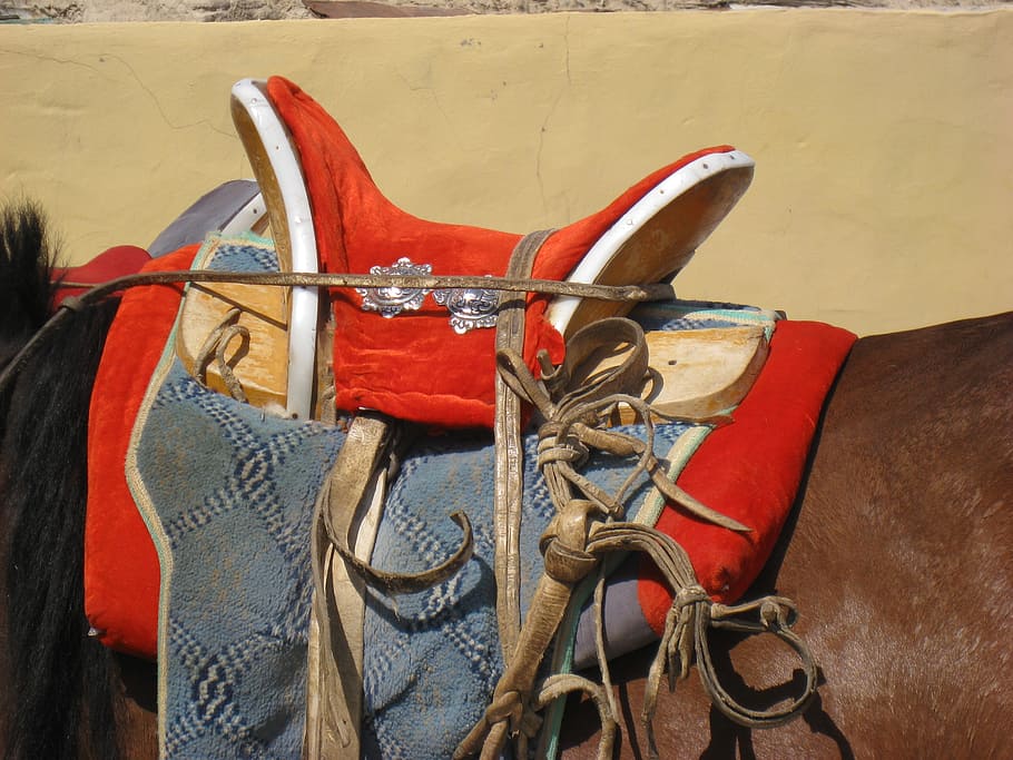 saddle, horse, mongolia, transportation, mode of transportation HD wallpaper