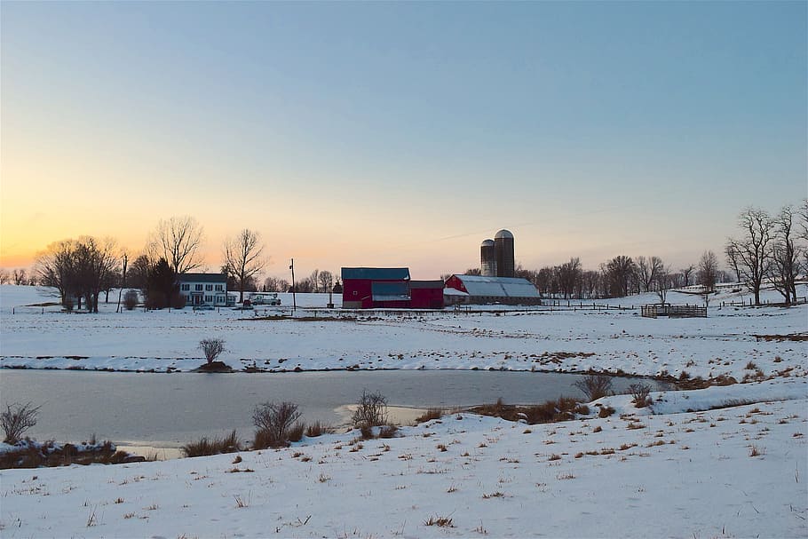Snow, Farm, Sunset, Shadow, Barn, Sky, winter, nature, landscape HD wallpaper