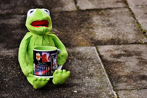 kermit, cup, drink coffee, coffee cup, funny, cute, break, coffee mugs HD wallpaper