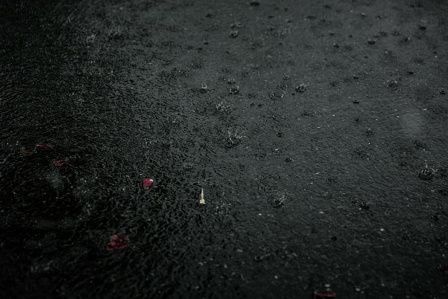 rain, drip, water, wet, raindrop, beaded, window, drop of water HD wallpaper