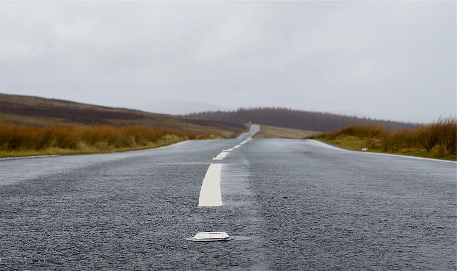 asphalt road surrounded by grass, low, angle, photo, pavement HD wallpaper