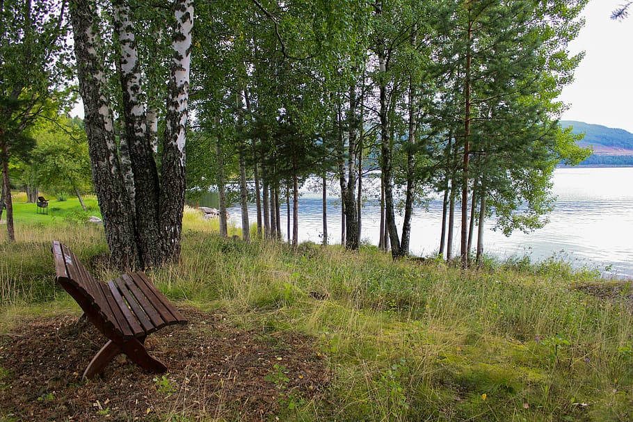 bench, lake, nature, water, park, fall, autumn, summer, seat, HD wallpaper
