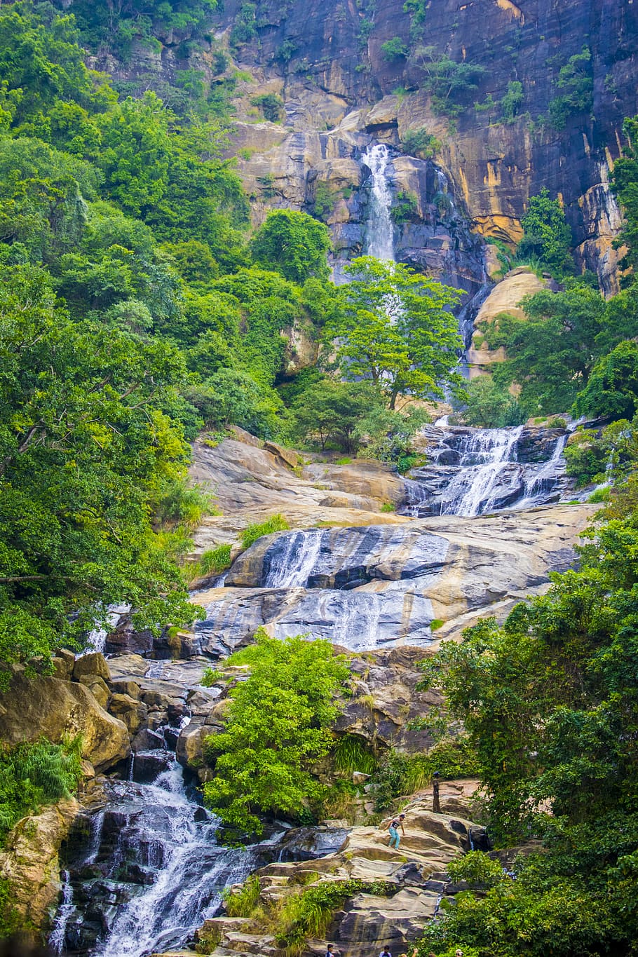 Water Falls, beautiful, daylight, environment, flow, forest, grass HD wallpaper