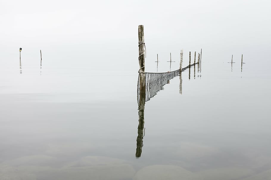 fence, lake, net, reflection, river, ropes, water, woods, waterfront HD wallpaper