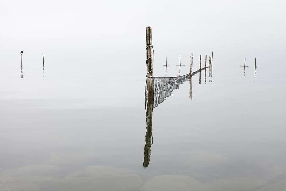 landscape photo of water wood fence, mirror photography of brown sea barricade HD wallpaper