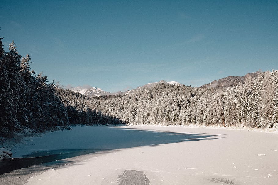Frozen Lake, landscape photo of pine trees coated by snow ice HD wallpaper