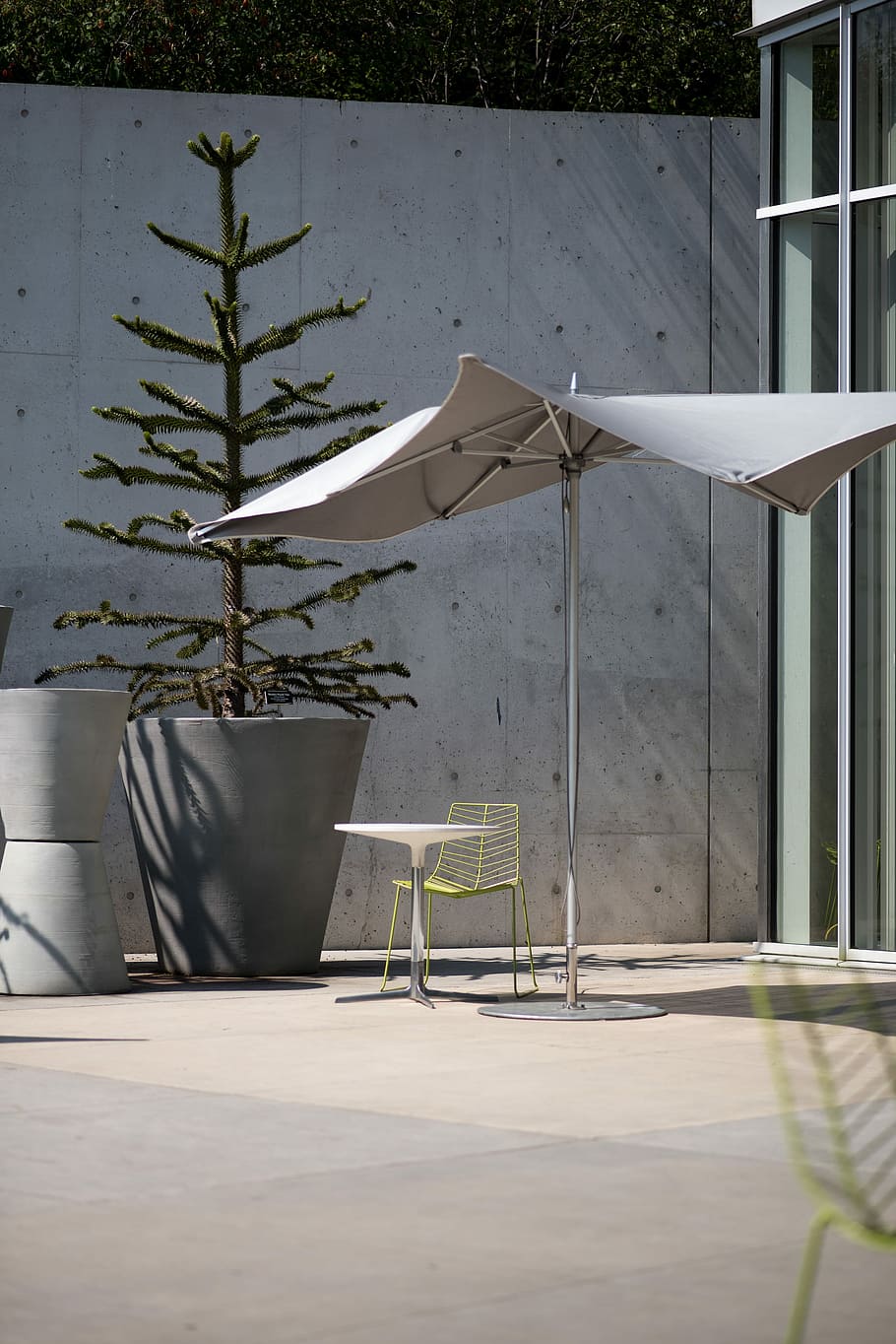 gray patio umbrella beside green pine tree, gray patio umbrella near pine tree on gray pot HD wallpaper
