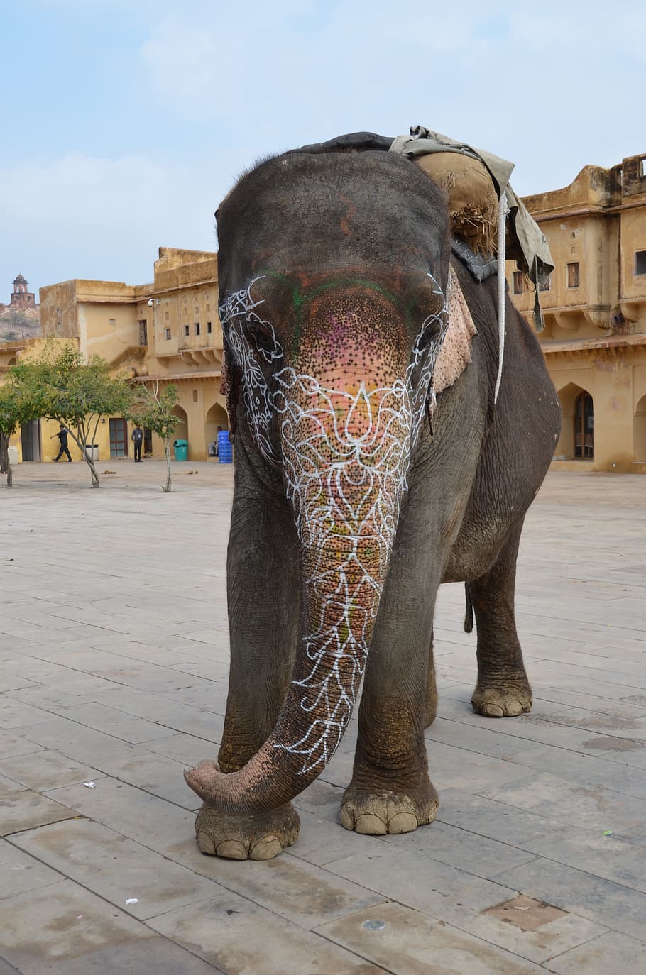 India, Palace, Getting Married, tradition, painted, mammal HD wallpaper