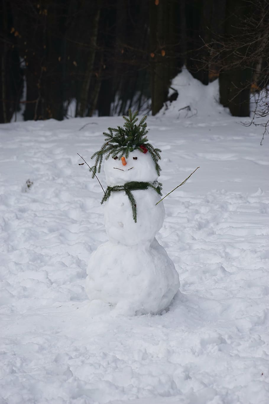 snowman, winter, cold temperature, white color, one animal HD wallpaper