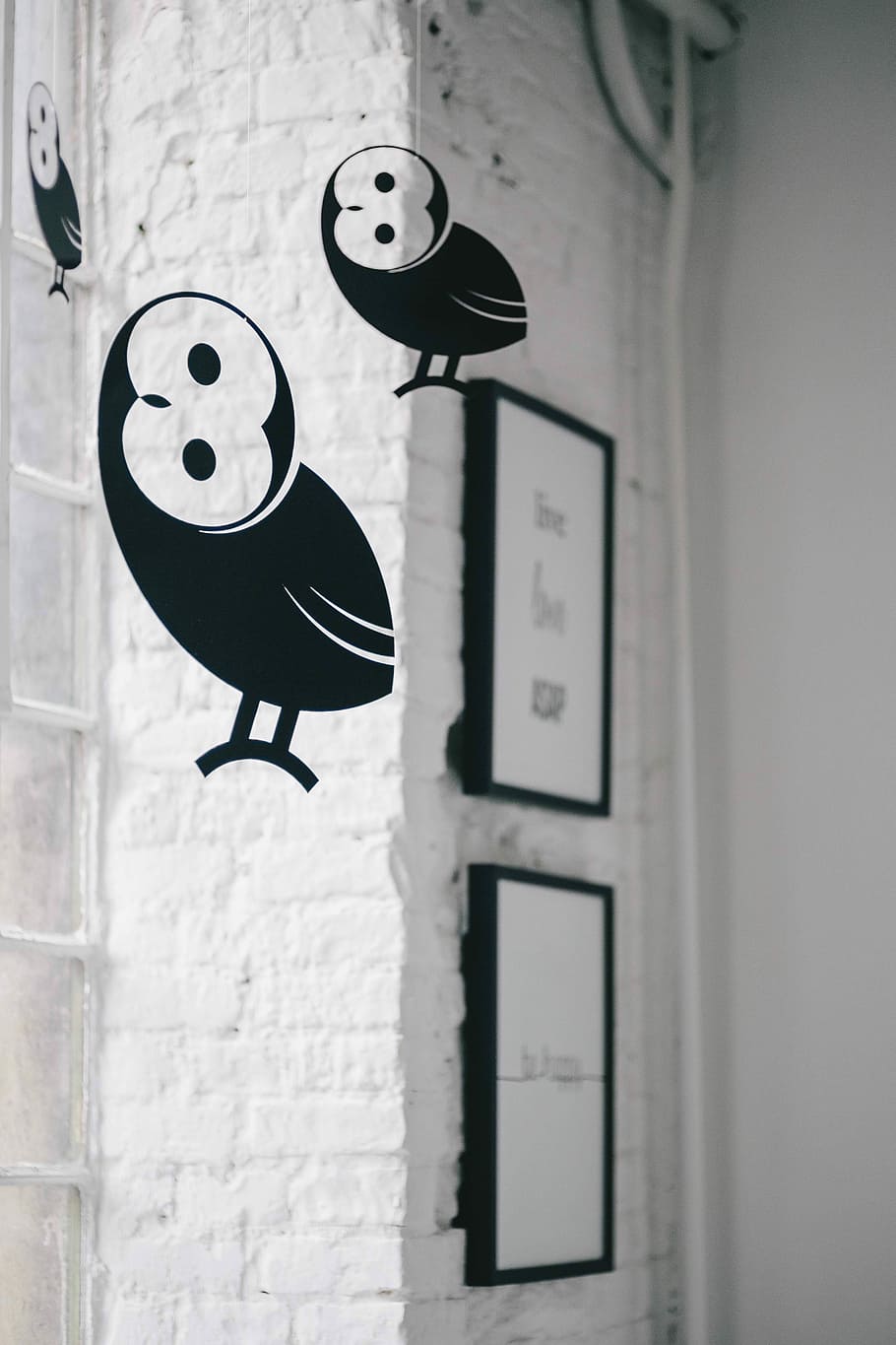 Little black plastic owls hanging from a ceiling, birds, wall - Building Feature
