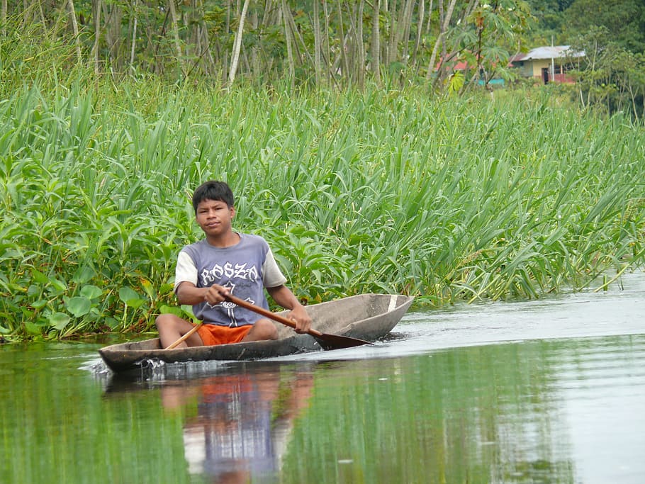peru, river, boat, green, forest, rainforest, water courses HD wallpaper