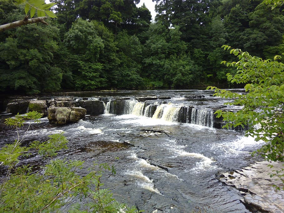 aysgarth, waterfall, yorkshire dales, landscape, wilderness, HD wallpaper