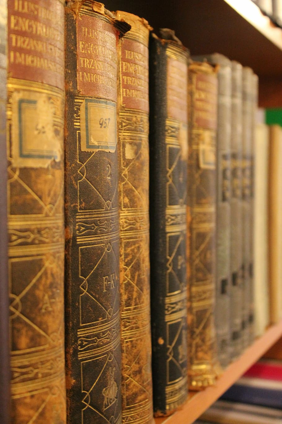 closeup photo of assorted-title books on brown wooden bookshelf HD wallpaper