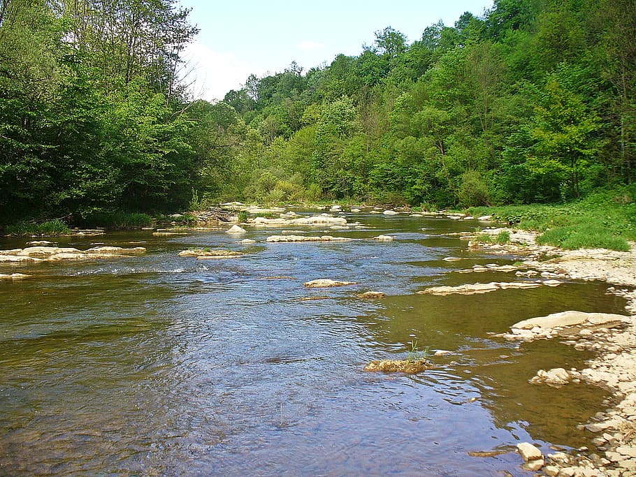 river, forest, landscape, nature, tree, green, the brook, water HD wallpaper
