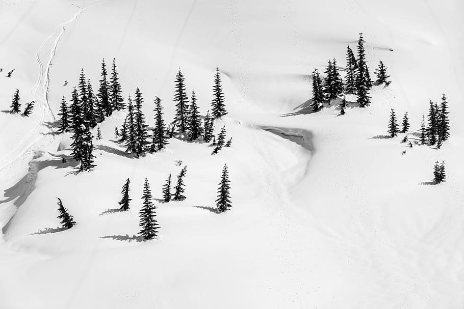 aerial view photography of snow, aerial view of pine trees, mountain HD wallpaper