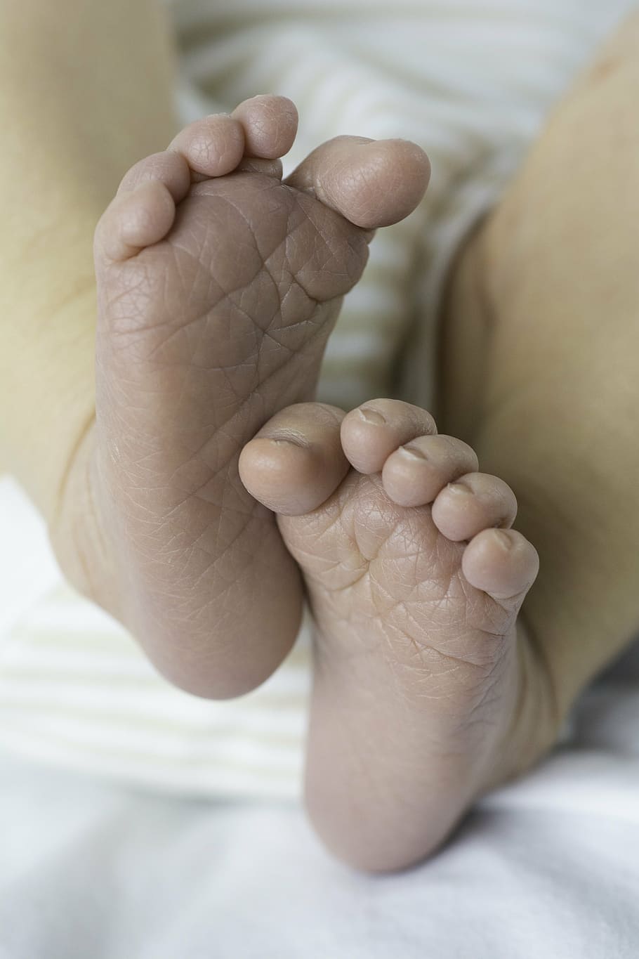 baby, feet, newborn, little, infant, child, small, toes, cute, HD wallpaper