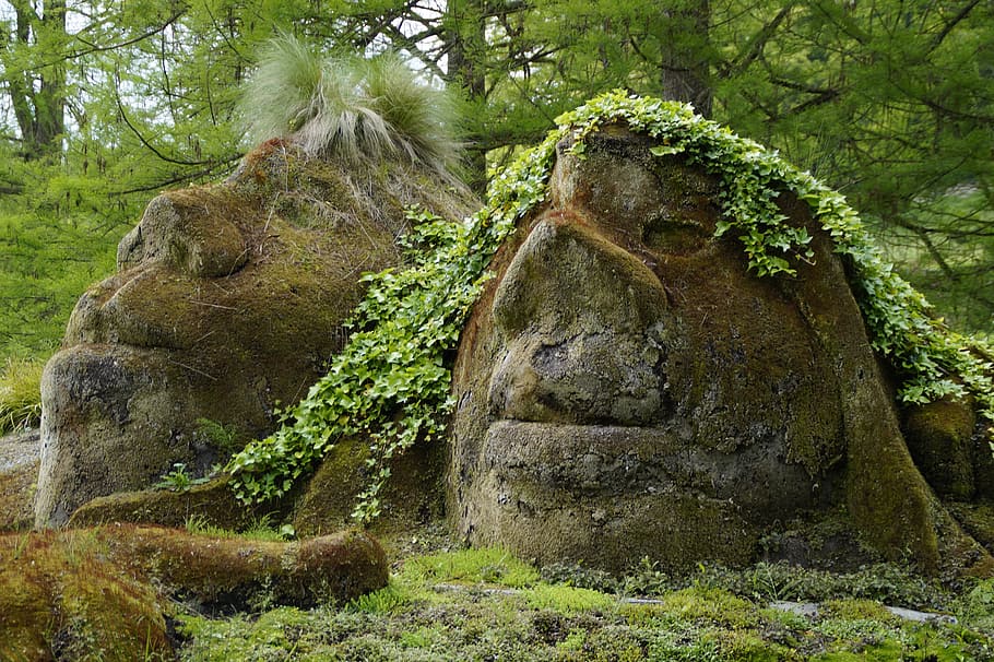 green grass near tree at daytime, control, gnome, troll, mythical creatures HD wallpaper