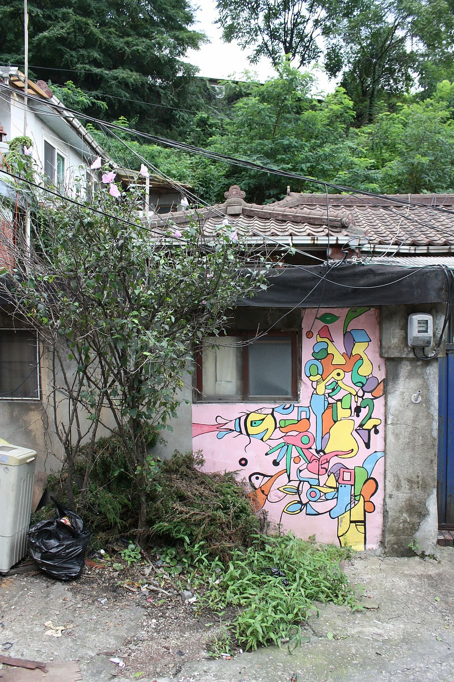 ant town, mural, feel, wall, graffiti, built structure, architecture HD wallpaper