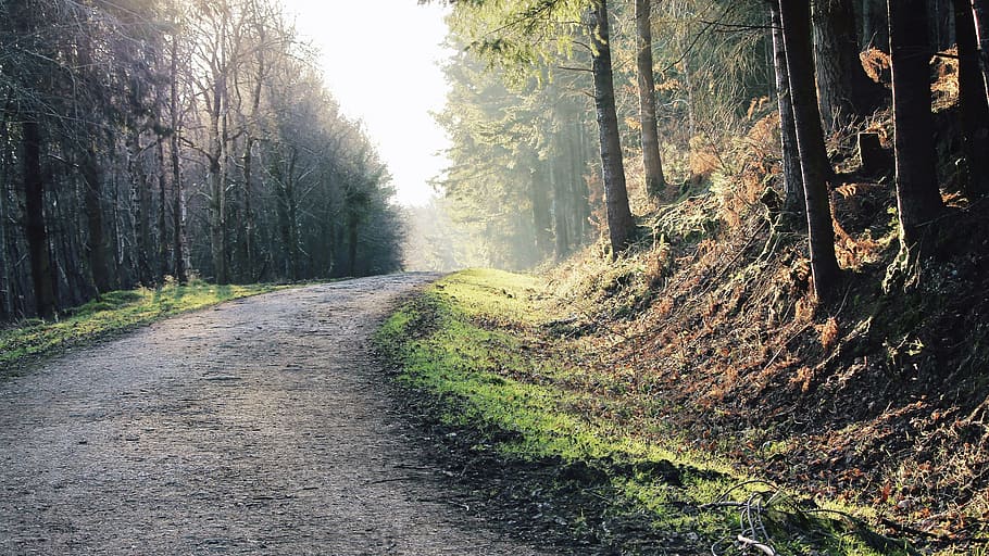 road, dawn, landscape, nature, countryside, daylight, environment HD wallpaper