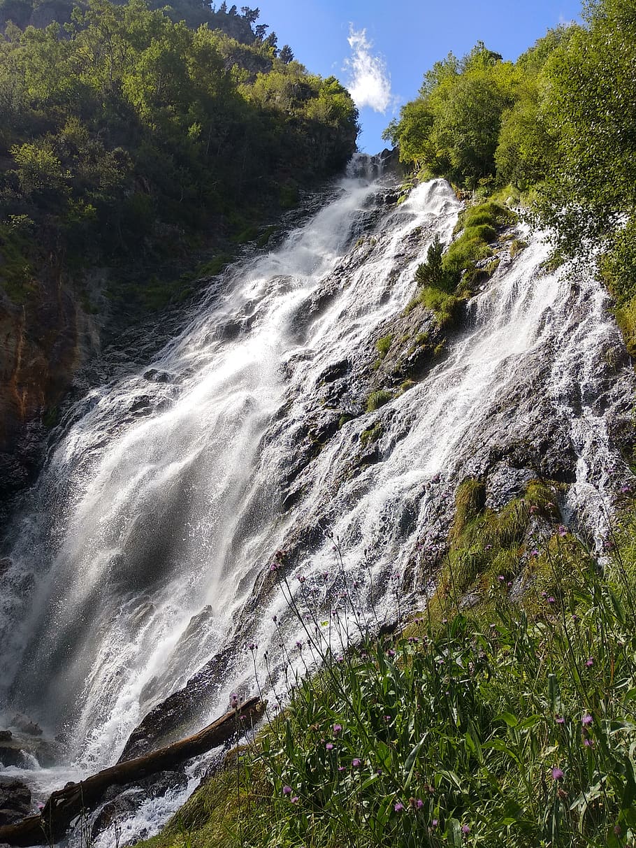 waterfall, mountain, beauty in nature, scenics - nature, plant HD wallpaper