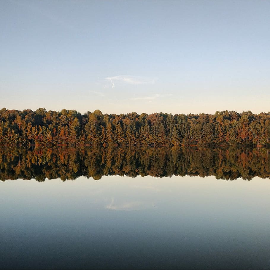 photo of trees and body of water during daytime, mirror photography of trees under blue sky HD wallpaper