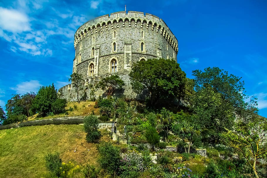 Windsor, Castle, Monument, tree, travel destinations, history HD wallpaper