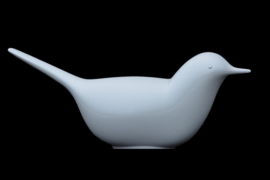 bird, image, decoration, art, design, black white, studio shot HD wallpaper