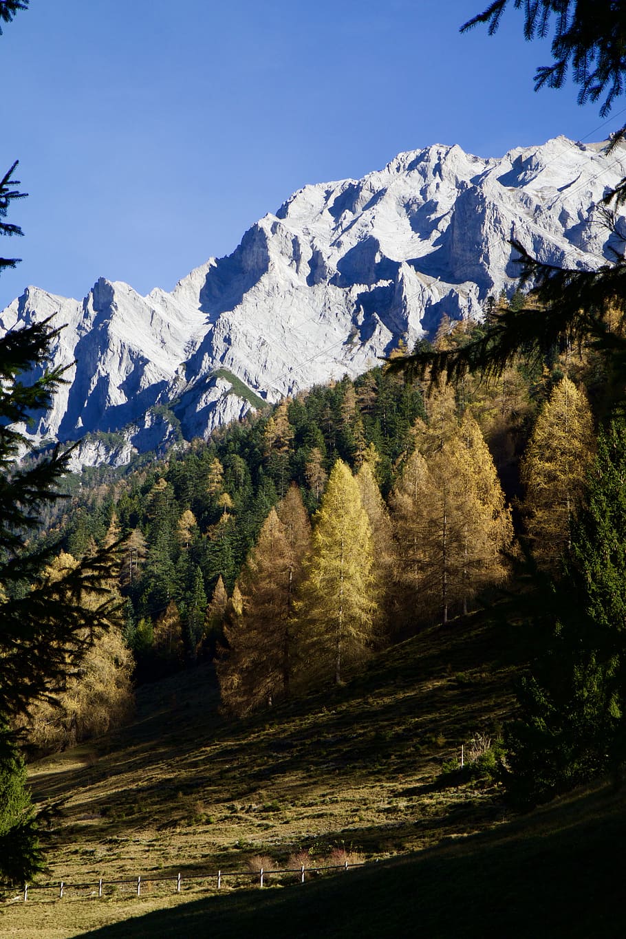 Mountains, Alpine, Fir, Autumn, nature, landscape, scenics HD wallpaper