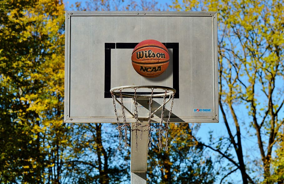 Wilson basketball on gray basketball board, basketball hoop, ball sports