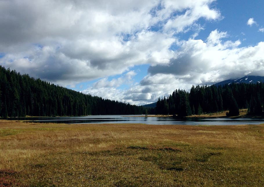 lake, trees, background, shoreline, clouds, wilderness, oregon HD wallpaper