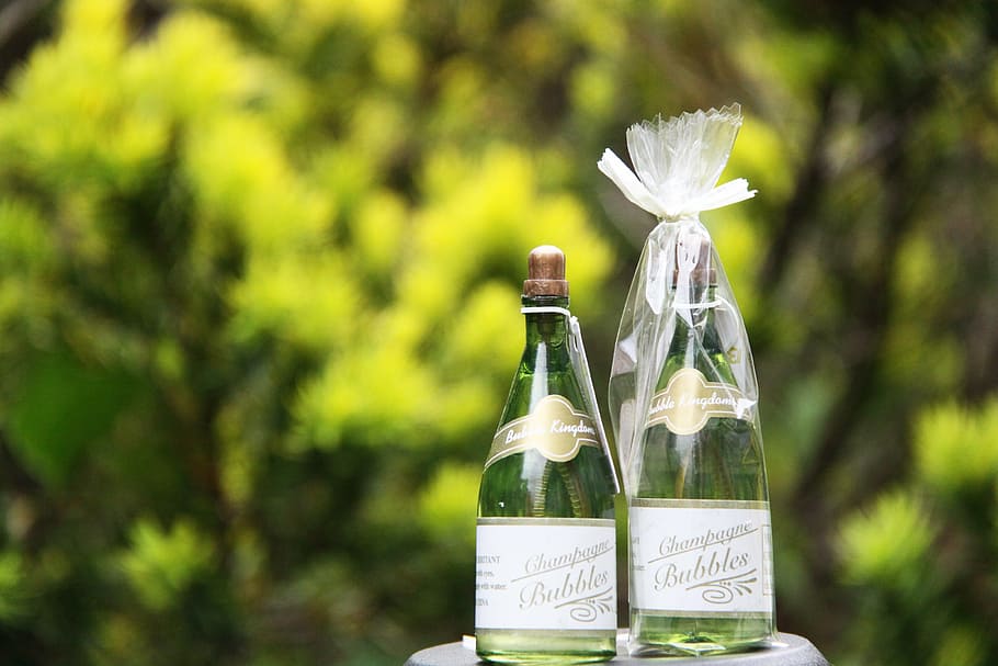 green, bottle, happy, container, plant, nature, focus on foreground HD wallpaper